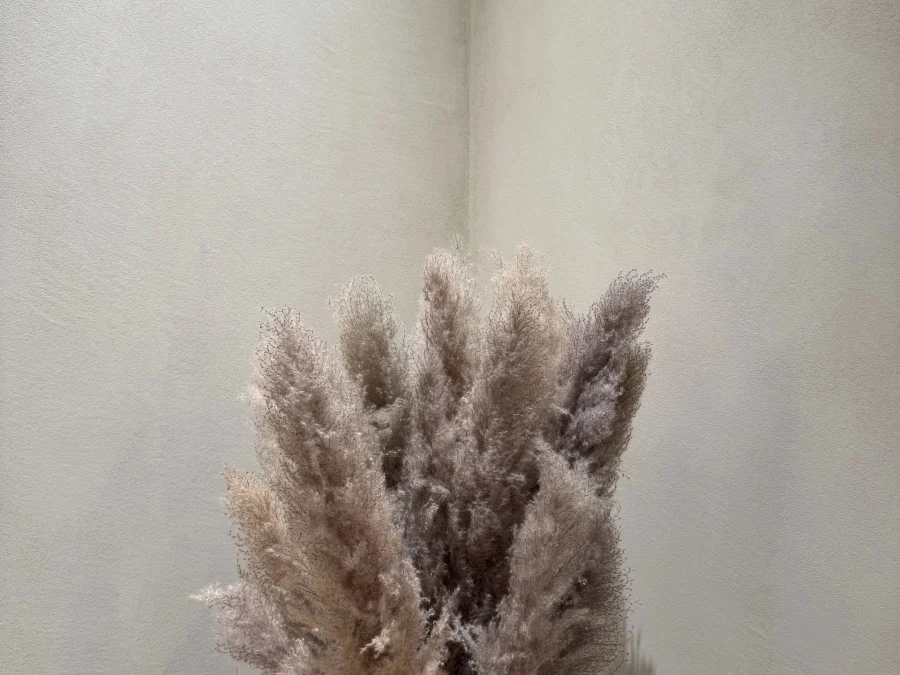 Brunello Cucinelli Front