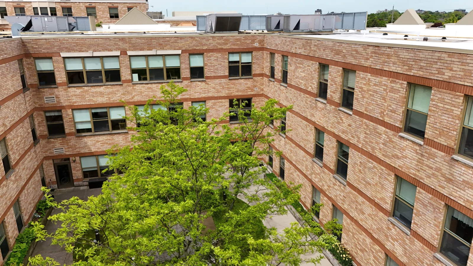 Service photo — New brick wall construction